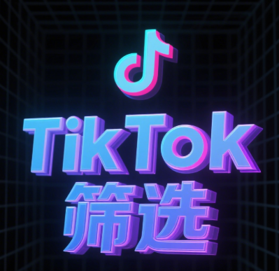 基于AI算法的TikTok号码精准筛选系统实战解析