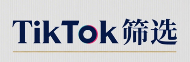 从流量到留量：TikTok筛号技术驱动的客户生命周期管理