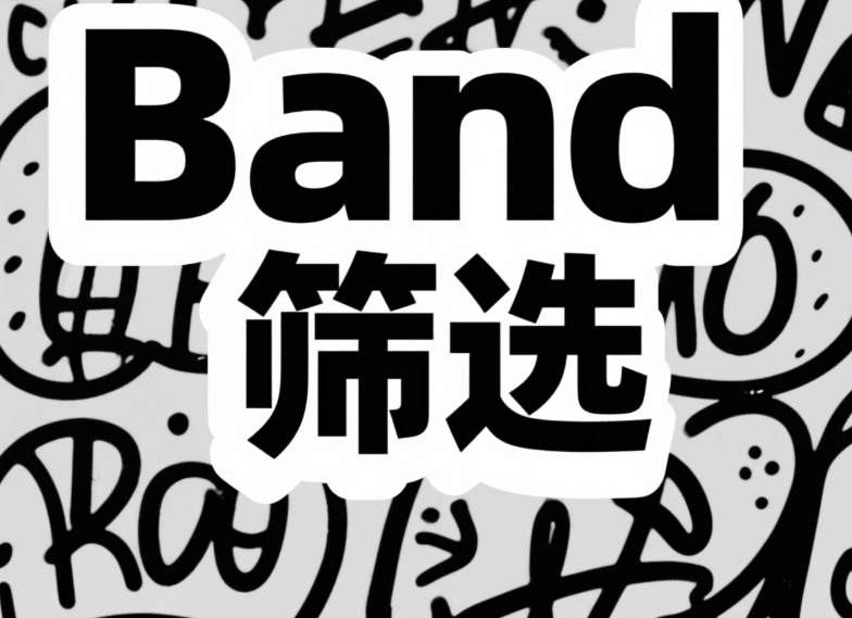 Band智能号码筛选核心算法解析：AI匹配模型架构