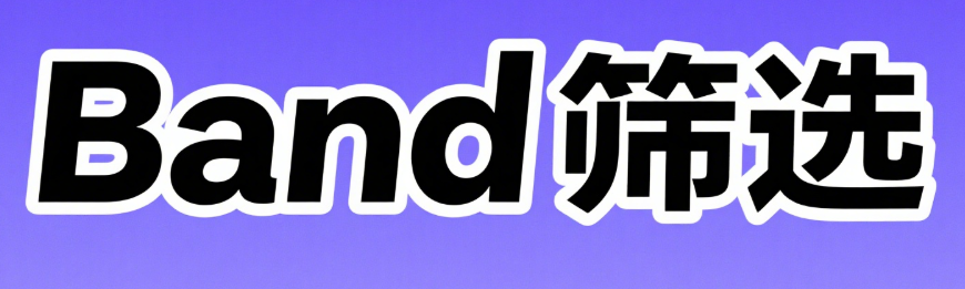 实时数据过滤机制：Band号码验证API技术白皮书