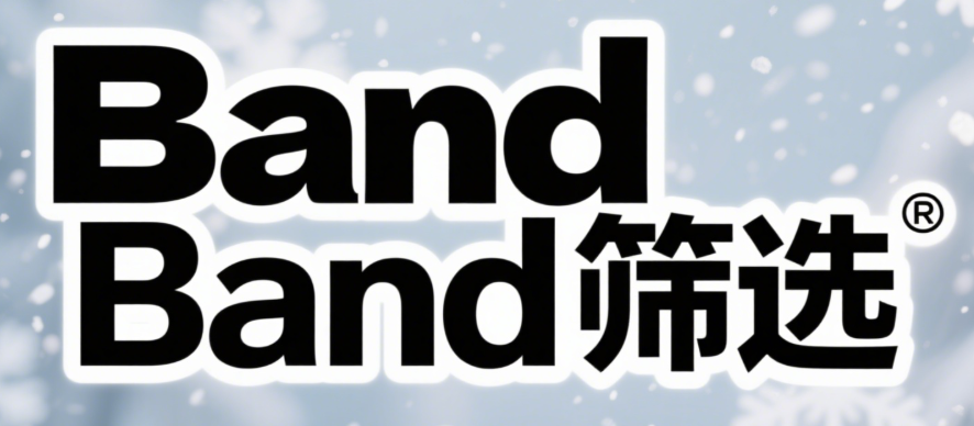 跨境电商业态：Band国际号码格式识别技术