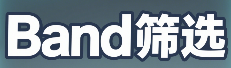 营销成本降低37%：Band筛号提升转化率案例